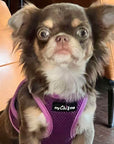 Tiny Trails Step In Air Mesh Puppy and Small Dog Harness Purple