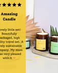 Lemon Sorbet Hand-Poured Coconut Wax Candle | Citrus & Natural Aromatherapy | Vegan, Eco-Friendly Candle | 2 Size Options