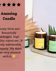 Wildflower Wisp Hand-Poured Coconut Wax Candle | Floral & Natural Aromatherapy | Vegan, Eco-Friendly Candle | 2 Size Options