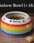Springer Spaniel Bowl