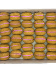 40 Count Dog Macaron Treats Gift Box