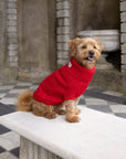 Cherry Red British Wool Dog Jumper