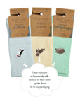 Ribbed Summer Sorbet Collection 3 Pack