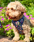 Rugged Rover™ Harness - Summer Meadow