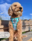 Rugged Rover™ Harness - Pastel Daisy