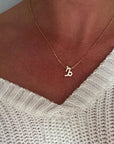 Zodiac Sign Splendour Necklace - Gold/Silver