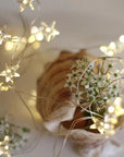 Star Wire String LED Fairy Lights