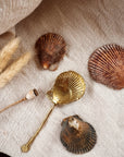 SHELL SPOON