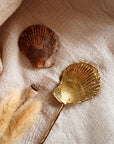 SHELL SPOON