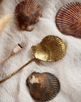 SHELL SPOON