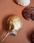 SHELL SPOON