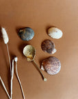 SHELL SPOON