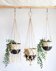 Plant Hanger - Shuly