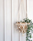 Plant Hanger - Shuly