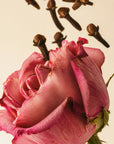 Medina Rose 100ml Reed Diffuser