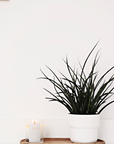 AWAKEN CANDLE (SPA COLLECTION)