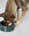 Dark Green Marble Dog Bowl