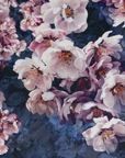 Jolanda floral velvet cushion, scatter cushions.