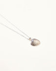 Amber Sea Shell Necklace