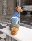 Blackface Sheep Dog Jumper in British Wool
