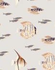 Shoal Fish Wallpaper