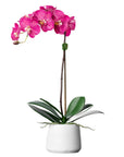 Silk orchid plant - pink phalaenopsis orchid in white pot - 21"