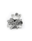 Lapel pin - SPRING Hepatica