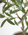 Artificial Olive Topiary Tree with Mediterranean Pot