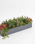 Mixed Artificial Succulent Arrangement