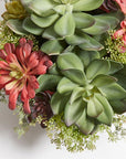 Artificial Succulent Arrangement In Natural Planter