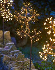 Indoor Outdoor LED Starburst Branch