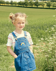 Stonewash RAINBOW Denim Dress