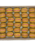 40 Count Dog Macaron Treats Gift Box