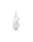Strawberry Silver Charm