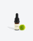 Natural Organic Melaleuca Alternifolia: Discover Ancient Aromatherapy & Magical Recipes for Health and Harmony by Smells Like Spells at www.brixbailey.com