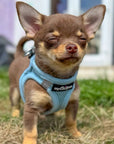 Tiny Trails Step In Air Mesh Puppy and Small Dog Harness Baby Blue
