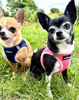 Tiny Trails Step In Air Mesh Puppy and Small Dog Harness Navy
