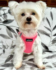 Tiny Trails Step In Air Mesh Puppy and Small Dog Harness Pink