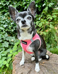 Tiny Trails Step In Air Mesh Puppy and Small Dog Harness Pink