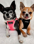 Tiny Trails Step In Air Mesh Puppy and Small Dog Harness Pink