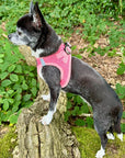 Tiny Trails Step In Air Mesh Puppy and Small Dog Harness Pink