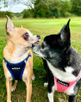 Tiny Trails Step In Air Mesh Puppy and Small Dog Harness Pink