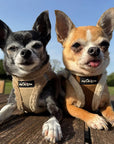 Tiny Trails Step In Soft Touch Suede Effect Faux Fur Lined Puppy and Small Dog Harness Mocha
