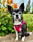 Tiny Trails Step In Air Mesh Puppy and Small Dog Harness Hot Pink