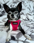 Tiny Trails Step In Air Mesh Puppy and Small Dog Harness Hot Pink