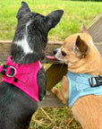 Tiny Trails Step In Air Mesh Puppy and Small Dog Harness Hot Pink