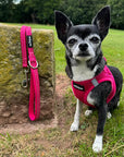 Tiny Trails Step In Air Mesh Puppy and Small Dog Harness Hot Pink
