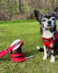 Tiny Trails Reflective 15mm Webbing Lead with Neoprene Handle Lining Red