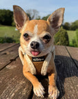 Tiny Trails Step In Soft Touch Suede Effect Faux Fur Lined Puppy and Small Dog Harness Mocha