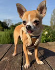 Tiny Trails Step In Soft Touch Suede Effect Faux Fur Lined Puppy and Small Dog Harness Mocha